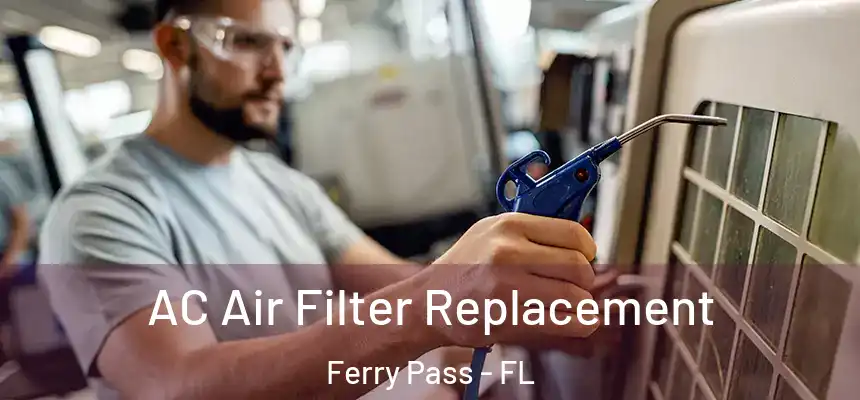  AC Air Filter Replacement Ferry Pass - FL