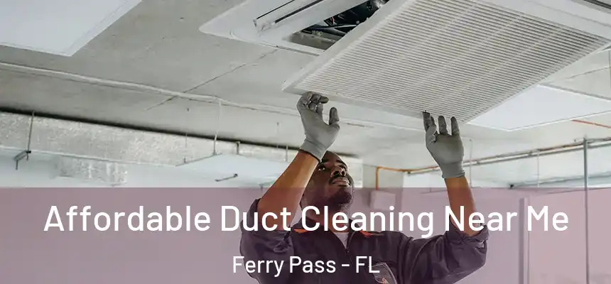Affordable Duct Cleaning Near Me Ferry Pass - FL