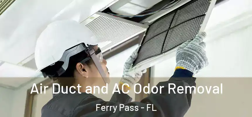 Air Duct and AC Odor Removal Ferry Pass - FL