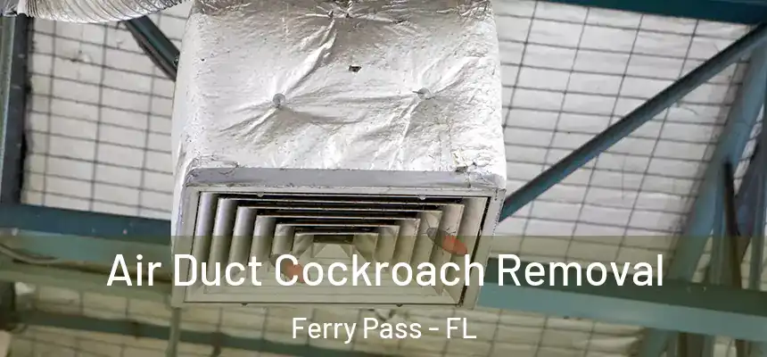 Air Duct Cockroach Removal Ferry Pass - FL