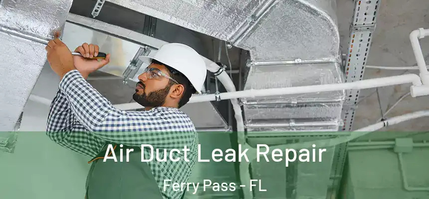 Air Duct Leak Repair Ferry Pass - FL