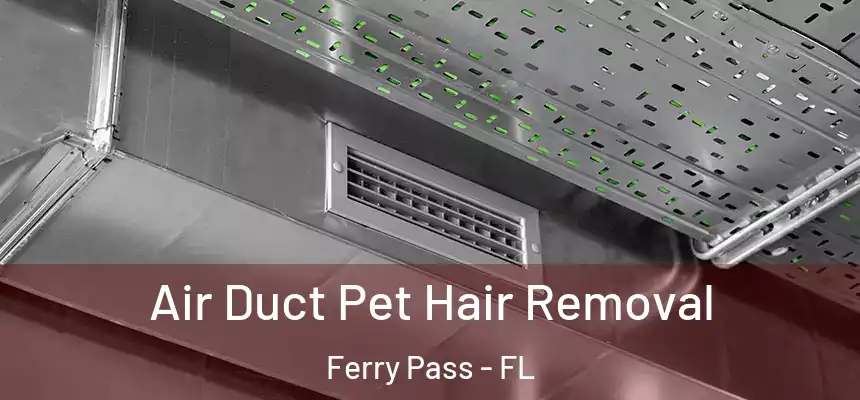 Air Duct Pet Hair Removal Ferry Pass - FL