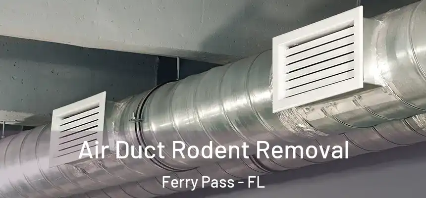  Air Duct Rodent Removal Ferry Pass - FL