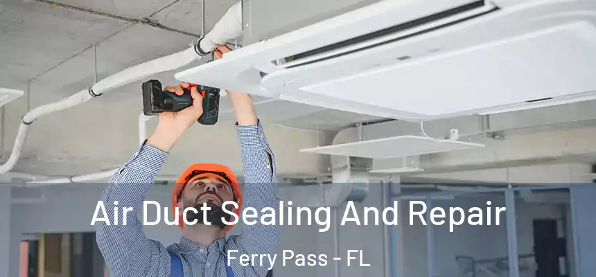 Air Duct Sealing And Repair Ferry Pass - FL