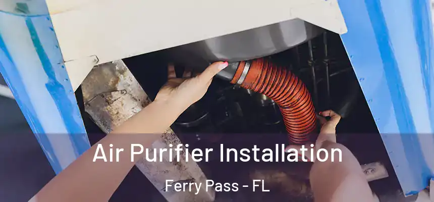 Air Purifier Installation Ferry Pass - FL