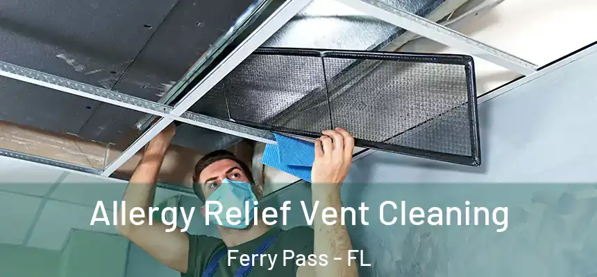 Allergy Relief Vent Cleaning Ferry Pass - FL