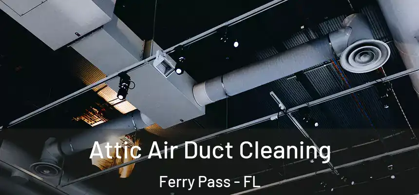 Attic Air Duct Cleaning Ferry Pass - FL