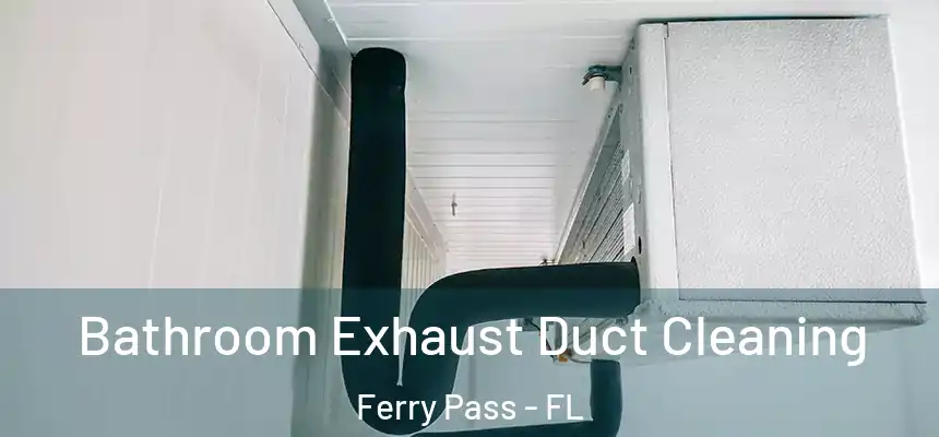 Bathroom Exhaust Duct Cleaning Ferry Pass - FL