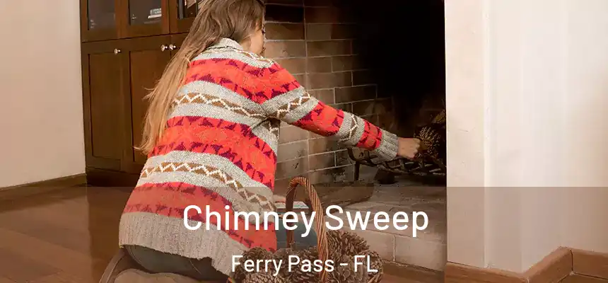 Chimney Sweep Ferry Pass - FL