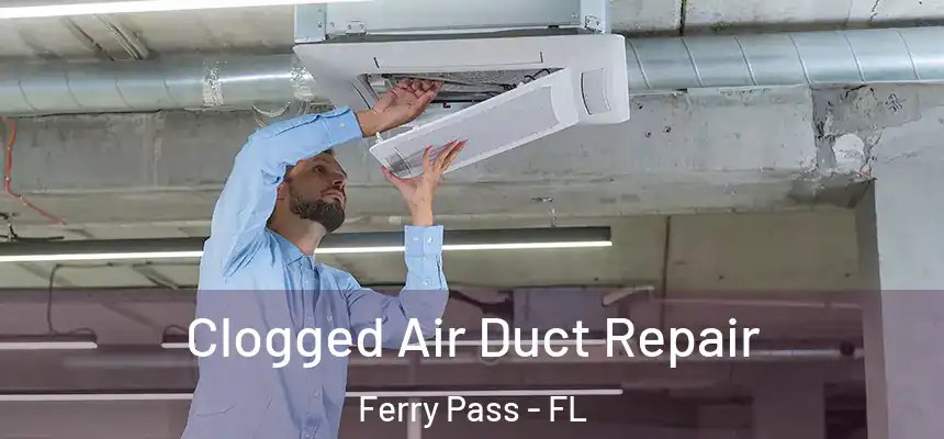  Clogged Air Duct Repair Ferry Pass - FL