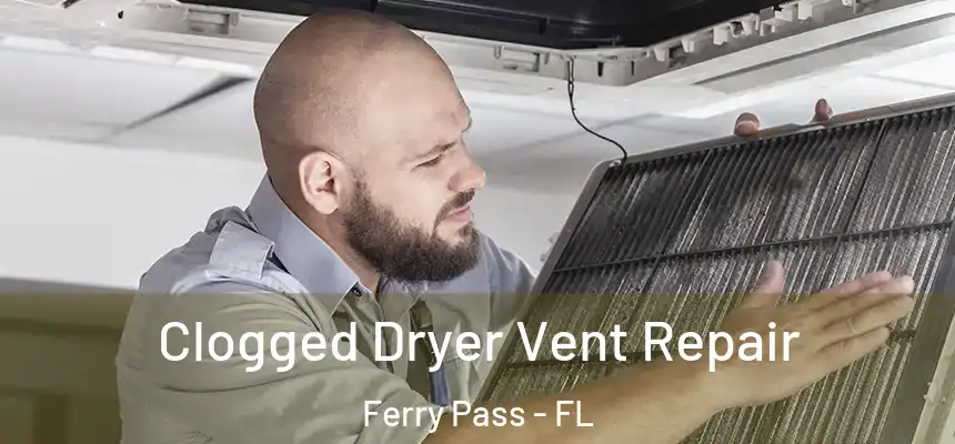 Clogged Dryer Vent Repair Ferry Pass - FL