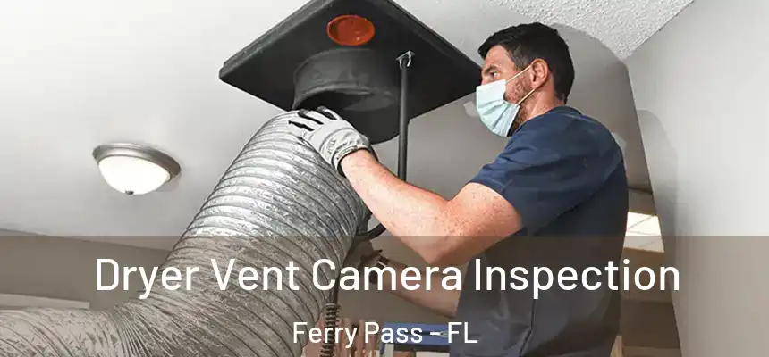 Dryer Vent Camera Inspection Ferry Pass - FL