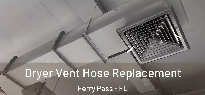 Dryer Vent Hose Replacement Ferry Pass - FL