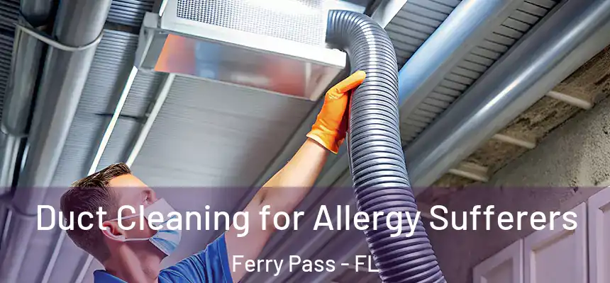 Duct Cleaning for Allergy Sufferers Ferry Pass - FL