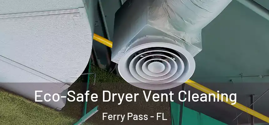 Eco-Safe Dryer Vent Cleaning Ferry Pass - FL