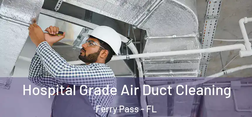 Hospital Grade Air Duct Cleaning Ferry Pass - FL