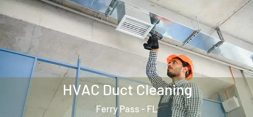 HVAC Duct Cleaning Ferry Pass - FL