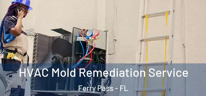 HVAC Mold Remediation Service Ferry Pass - FL