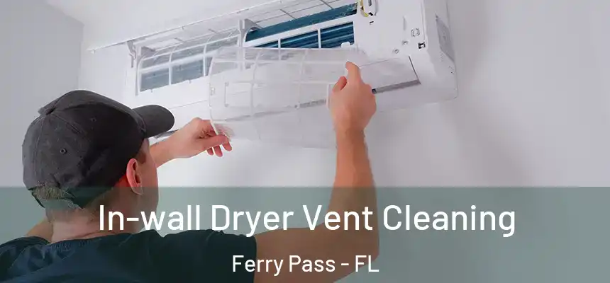In-wall Dryer Vent Cleaning Ferry Pass - FL