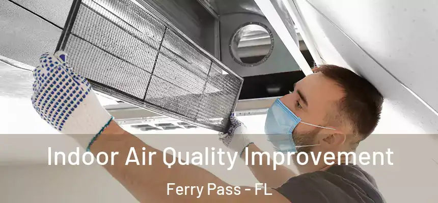  Indoor Air Quality Improvement Ferry Pass - FL