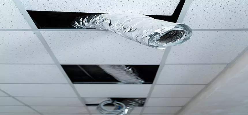 Affordable HVAC Sanitizing After Pest Removal in Ferry Pass