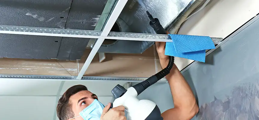 Our Air Duct Rodent Removal Services in Ferry Pass, FL