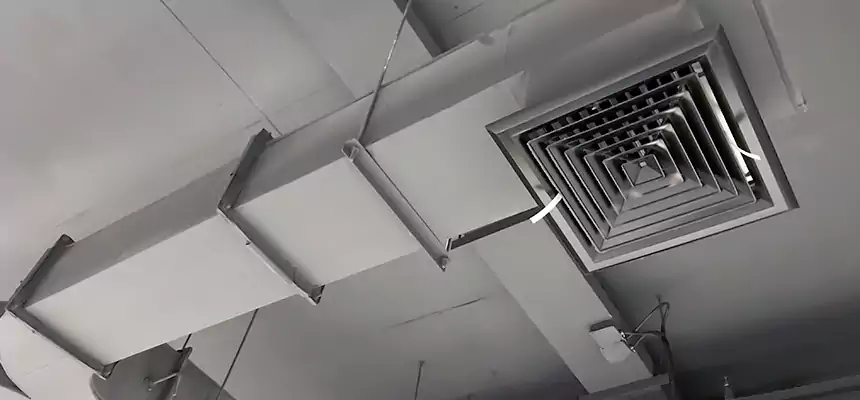 Restorative Allergy Relief Vent Cleaning – Coil, Blower & Housing Detail in Ferry Pass