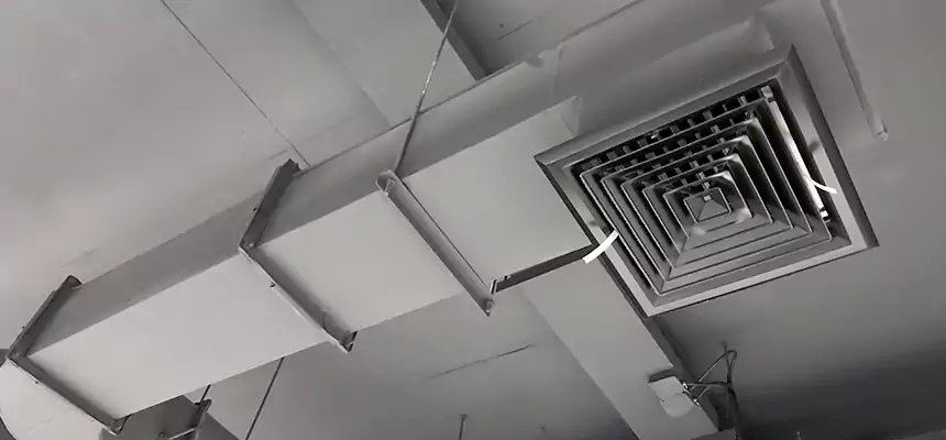 Our Pest Removal From Ducts Services in Ferry Pass, FL