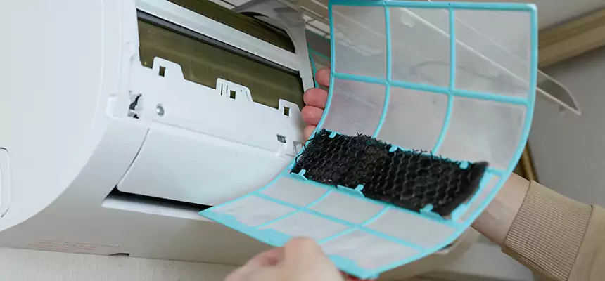 Gentle Ductwork Odor-Control Pet Dander Duct Cleaning in Ferry Pass, FL