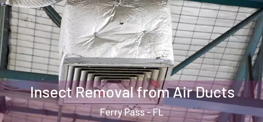 Insect Removal from Air Ducts Ferry Pass - FL