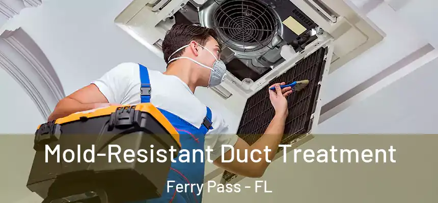  Mold-Resistant Duct Treatment Ferry Pass - FL