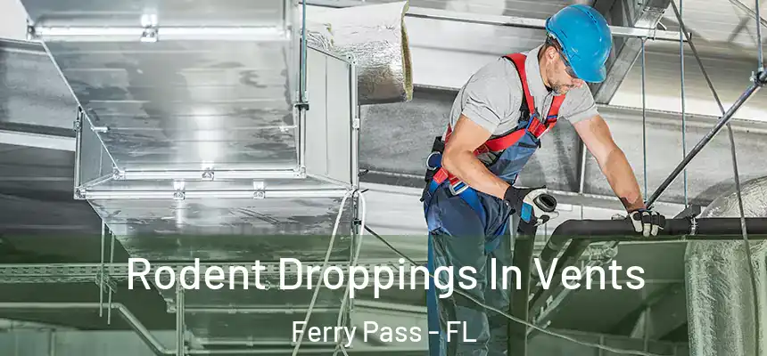 Rodent Droppings In Vents Ferry Pass - FL
