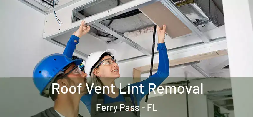Roof Vent Lint Removal Ferry Pass - FL