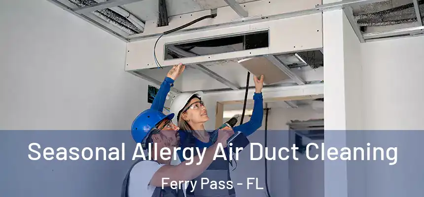 Seasonal Allergy Air Duct Cleaning Ferry Pass - FL