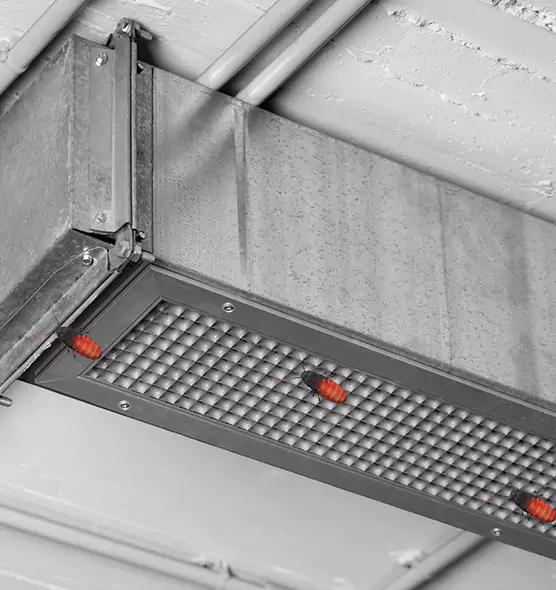 About Air Duct Cockroach Removal in Ferry Pass, FL