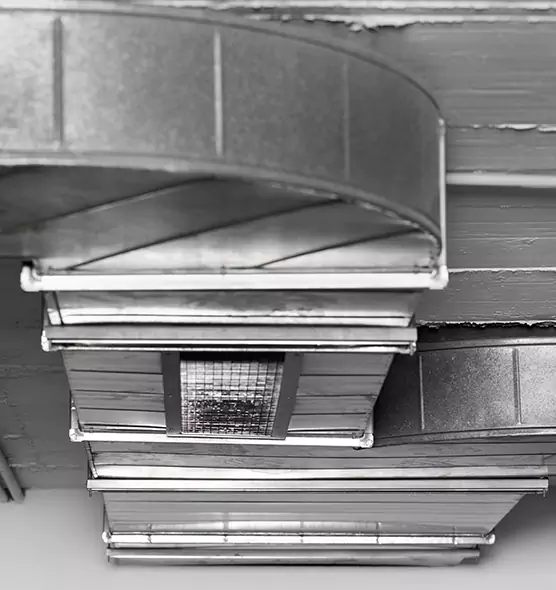 Professional Air Duct Pest Removal in Ferry Pass, FL