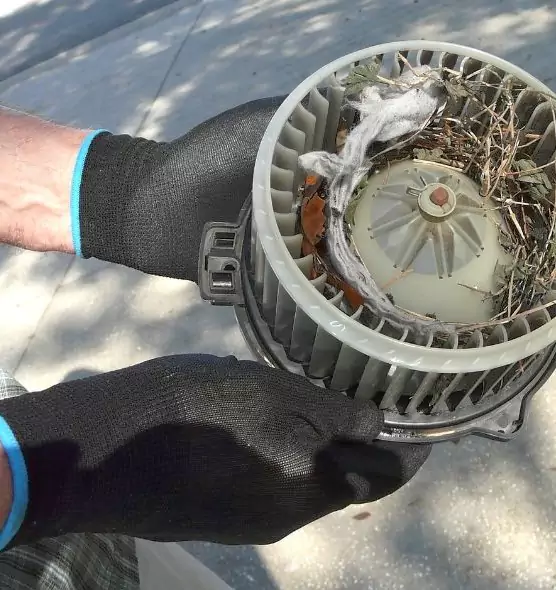 About Air Duct Rat Removal in Ferry Pass, FL