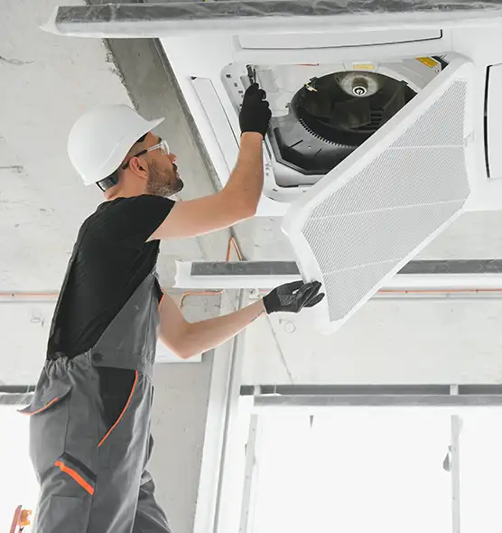 About Air Duct Rodent Removal in Ferry Pass, FL