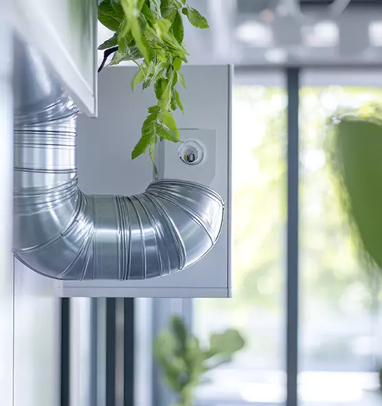 Professional Eco-Safe Dryer Vent Cleaning in Ferry Pass, FL