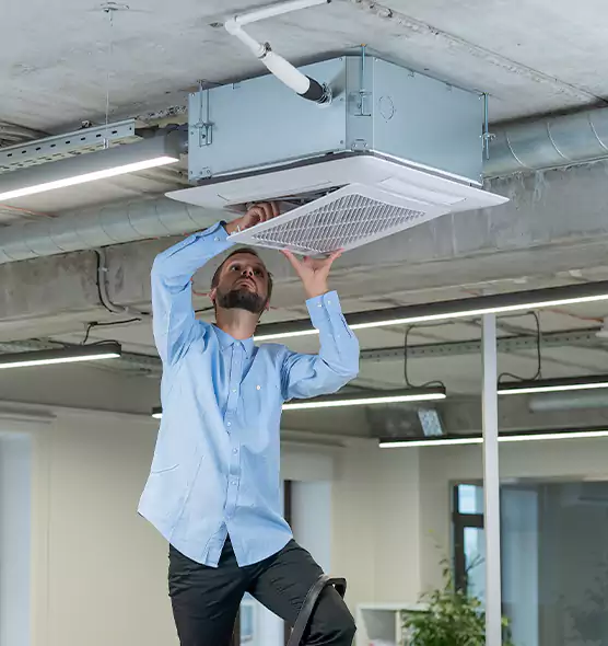 Advanced Rodent Droppings In Vents in Ferry Pass, FL
