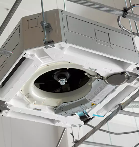 Professional Roof Vent Lint Removal Ferry Pass, FL