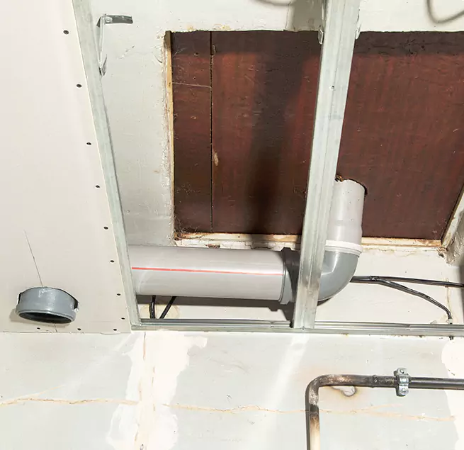 Why Homeowners & Businesses Trust Us in Ferry Pass, FL?