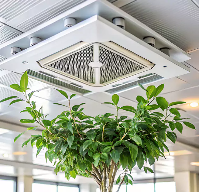 Why Homeowners & Businesses Trust Us in Ferry Pass, FL