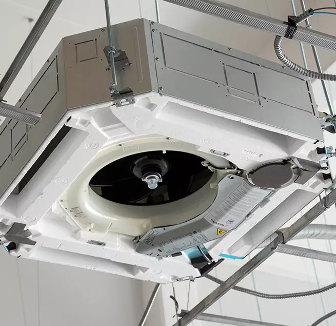 Why Homeowners & Businesses Trust Us in Ferry Pass, FL?