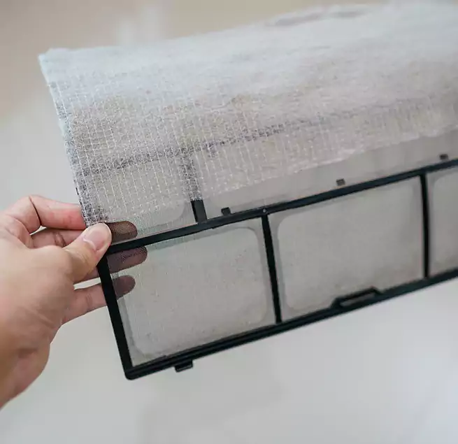 Why Homeowners & Businesses Trust Us in Ferry Pass, FL?