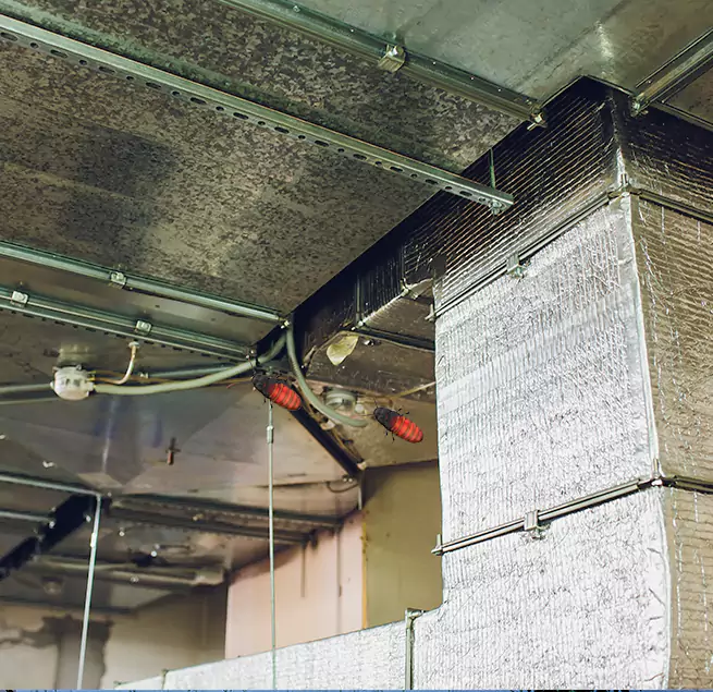 Why Homeowners & Businesses Trust Us Ferry Pass, FL?