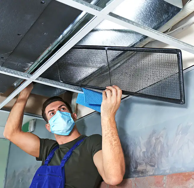 Why Homeowners & Businesses Trust Us in Ferry Pass, FL?