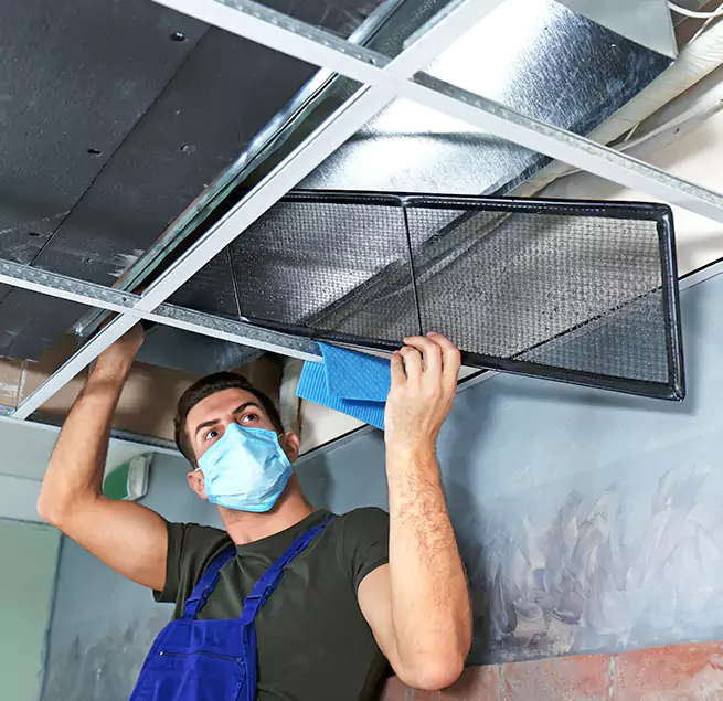  Why Homeowners Businesses Trust Us  in Ferry Pass, FL?