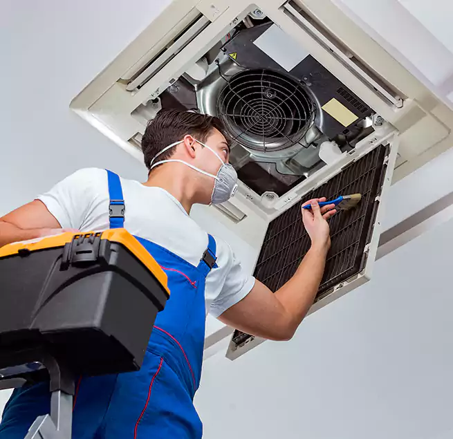 Why Homeowners & Businesses Trust Us in Ferry Pass, FL?