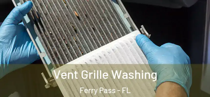 Vent Grille Washing Ferry Pass - FL